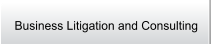 Business Litigation and Consulting