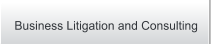 Business Litigation and Consulting