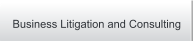 Business Litigation and Consulting
