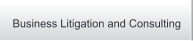 Business Litigation and Consulting