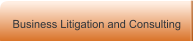 Business Litigation and Consulting