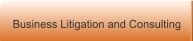 Business Litigation and Consulting