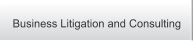 Business Litigation and Consulting