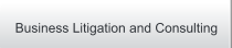 Business Litigation and Consulting
