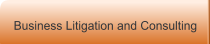 Business Litigation and Consulting