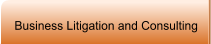Business Litigation and Consulting